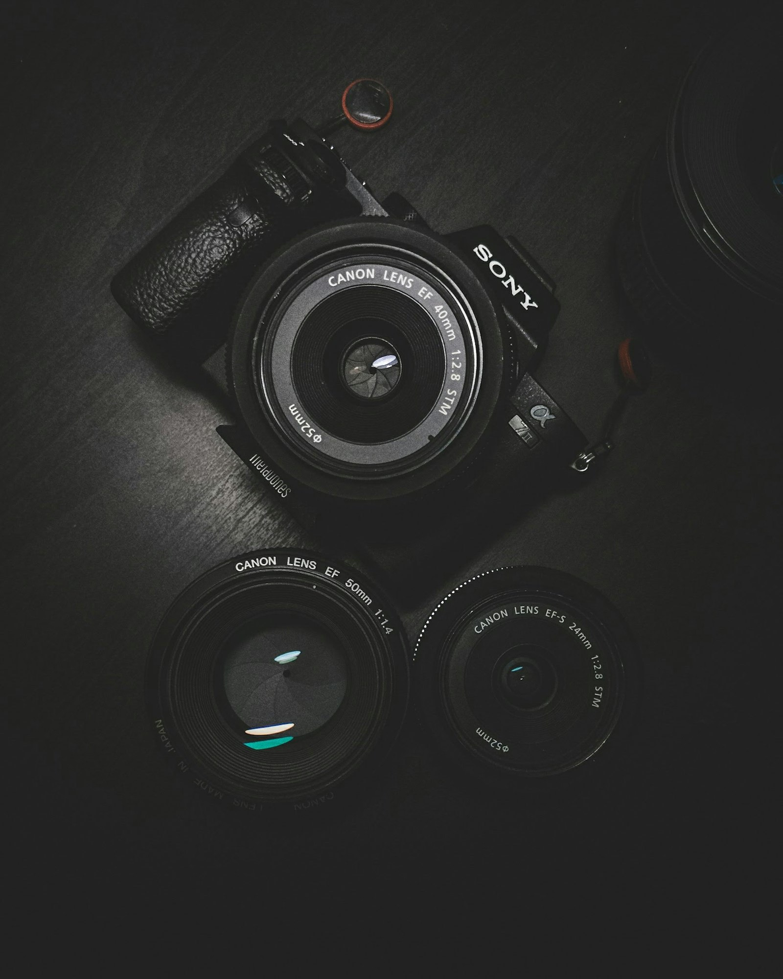 Servizio fotografico professionale